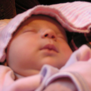 P1010245.jpg