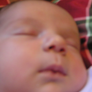 P1010247.jpg
