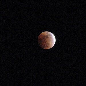 IMG_0359.JPG