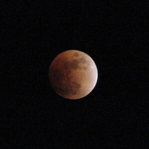 IMG_0379.JPG