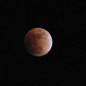 IMG_0380.JPG