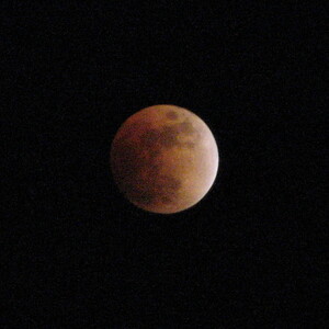 IMG_0381.JPG