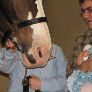 2007_Bella-and-Budweiser_Dec