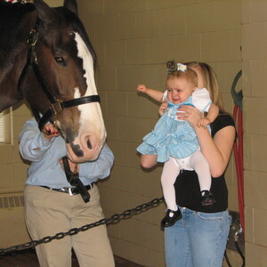 2007_Bella-and-Budweiser_Dec