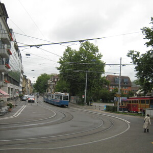 010.JPG