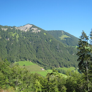 105.JPG