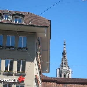 133.JPG