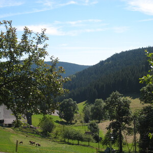 134.JPG