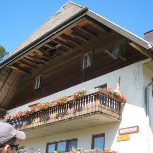 136.JPG