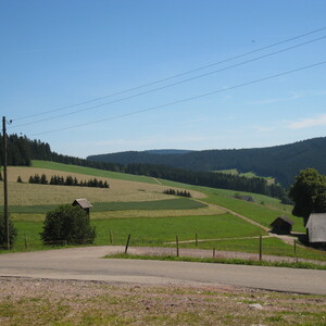 149.JPG