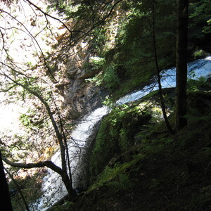 154.JPG