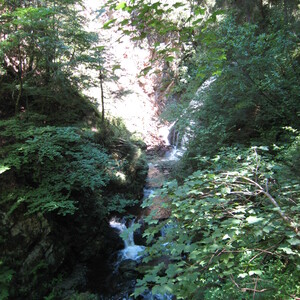 155.JPG