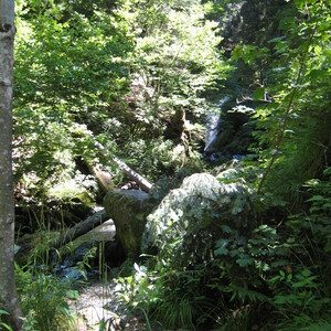 156.JPG