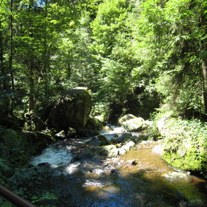 157.JPG