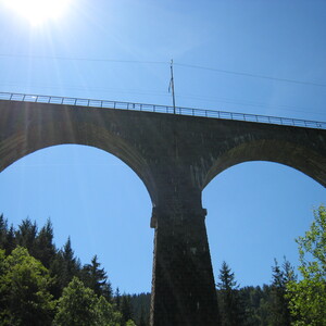 161.JPG