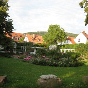 181.JPG