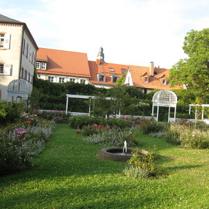 182.JPG