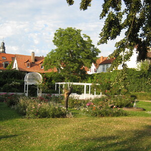 183.JPG