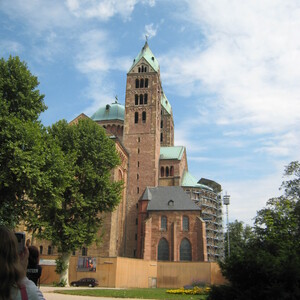 219.JPG
