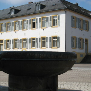 249.JPG