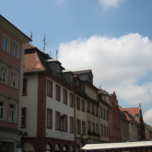 251.JPG
