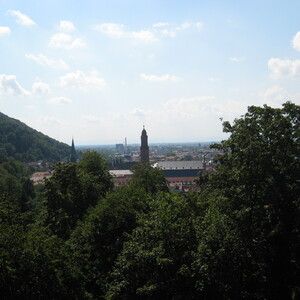 255.JPG