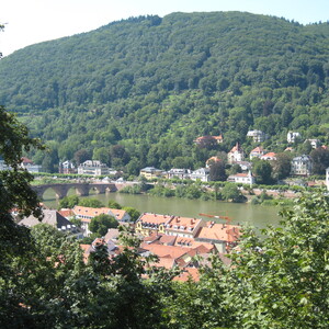 256.JPG