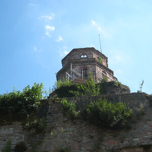 257.JPG