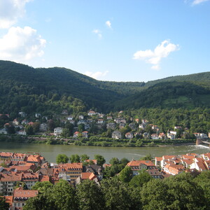 290.JPG