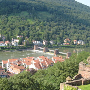 293.JPG