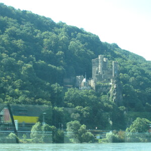 310.JPG