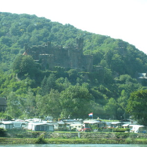313.JPG