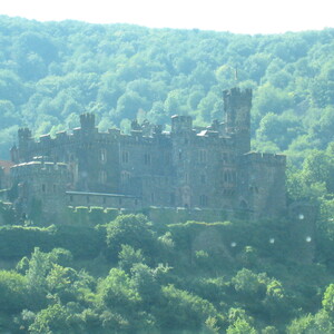 315.JPG