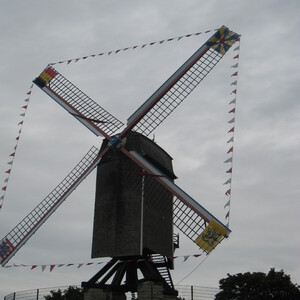 453.JPG
