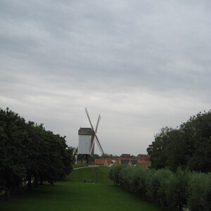 454.JPG
