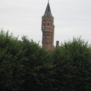 455.JPG
