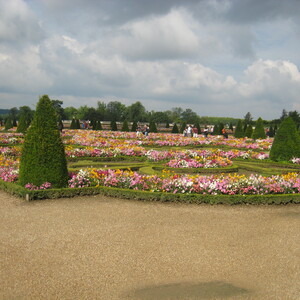 568.JPG