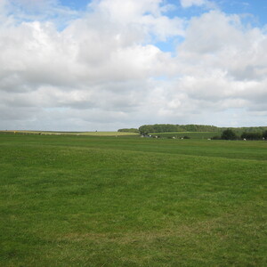 785.JPG