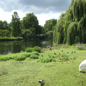 845.JPG