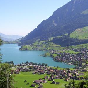 swiss.jpg