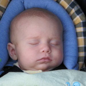 img_0003.jpg