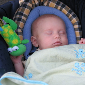 img_0005.jpg