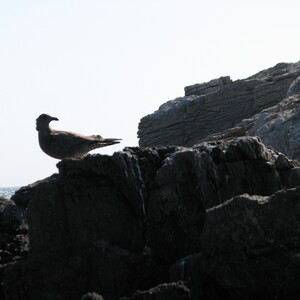 img_0160.jpg