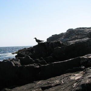 img_0161.jpg