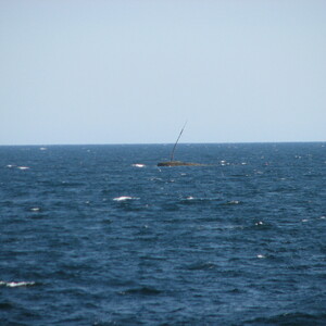 img_0163.jpg