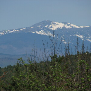 IMG_0524.JPG