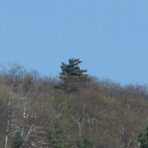 IMG_0535.JPG