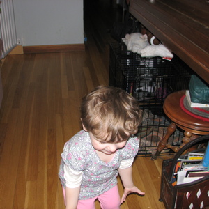 IMG_0430.JPG
