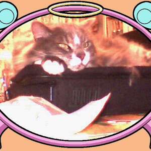 DC00050_1.jpg
