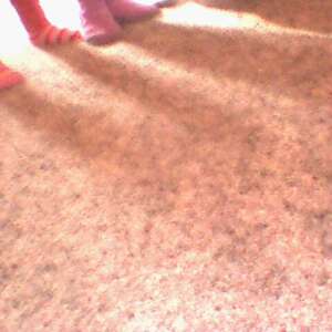 DC00309.jpg